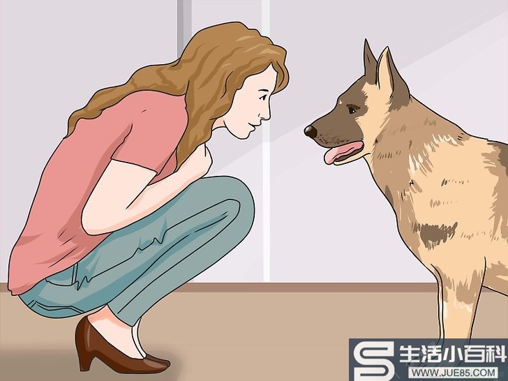 如何遛狗: 12 步骤（包含图片）