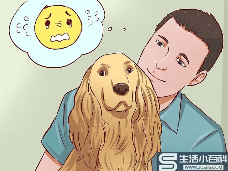 如何安抚爱犬: 12 步骤