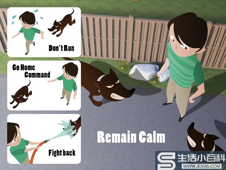 3种方法来处理犬类攻击