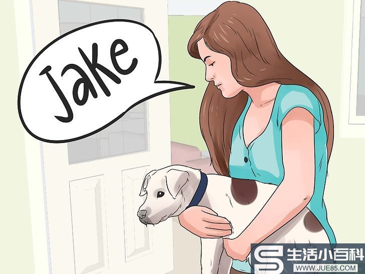3种方法来给你的狗取名字