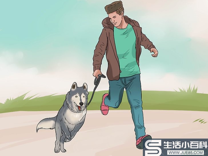 如何训练小狗不逃跑（包含图片）
