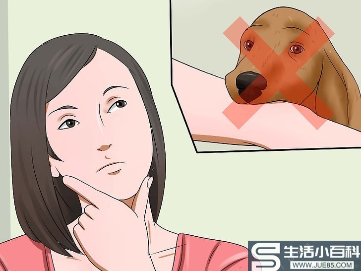 如何让狗狗不再咬人