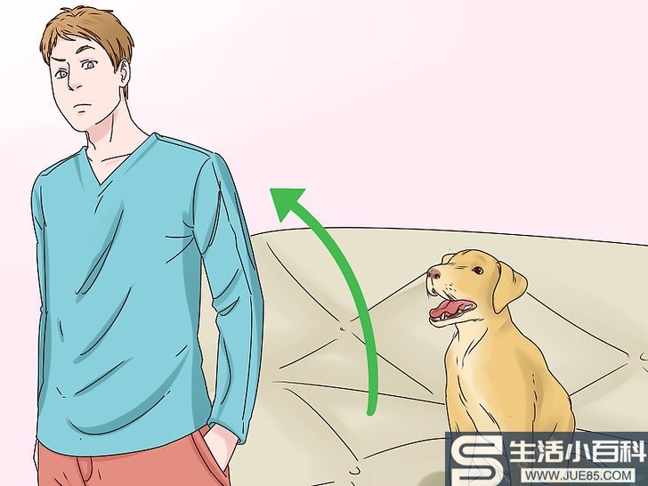 如何让狗不再舔人: 11 步骤