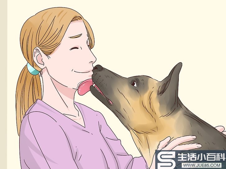 如何让狗不再舔人: 11 步骤