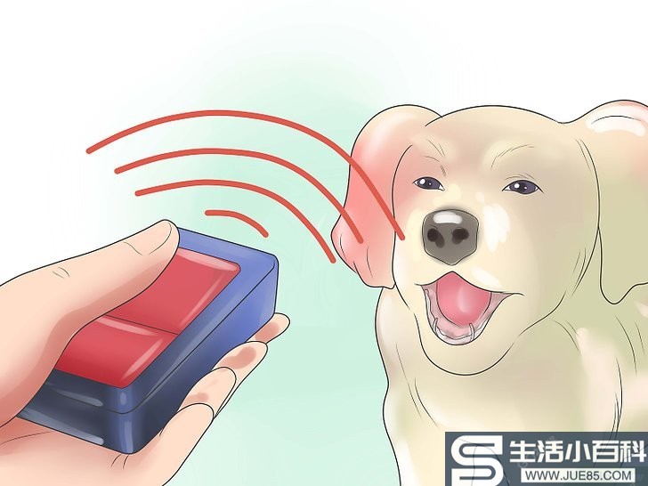 3种方法来停止邻居的狗叫扰民