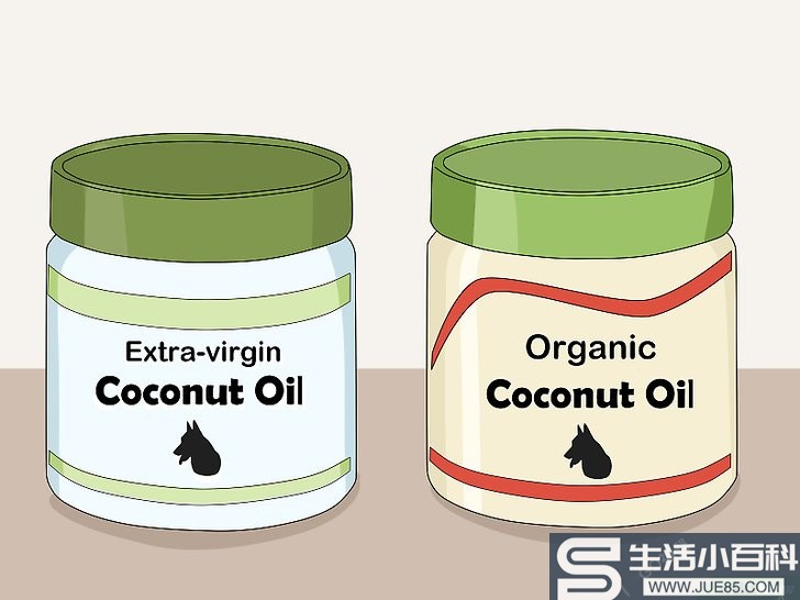 如何使用椰子油给狗狗驱除跳蚤以及护理皮肤