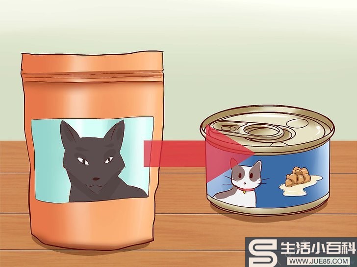 3种方法来治疗猫咪便秘