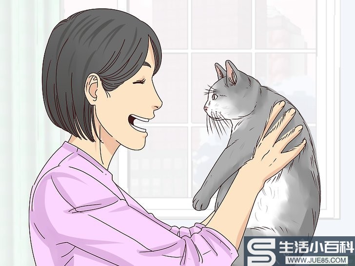 如何让猫咪喜欢你: 13 步骤