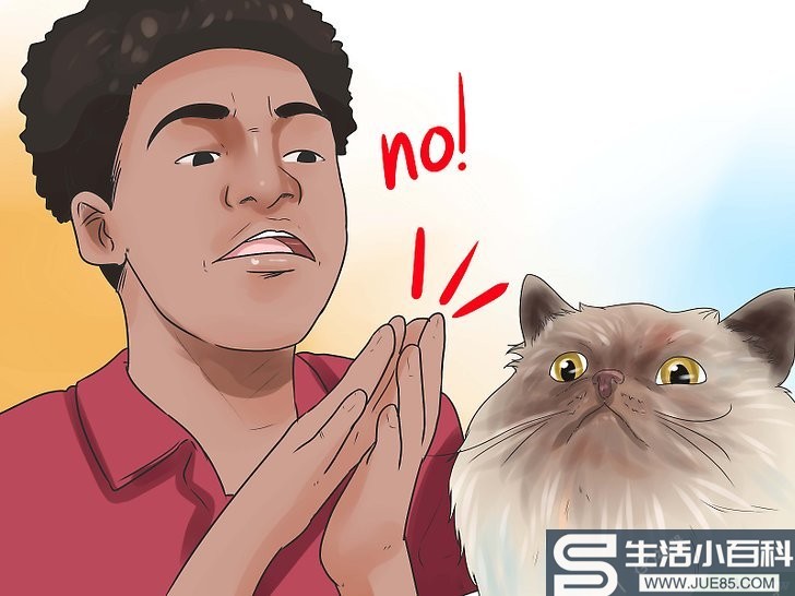 如何阻止猫随便抓咬（包含图片）