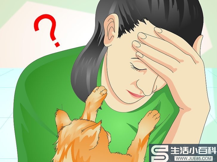 如何安慰一只垂死的猫: 13 步骤