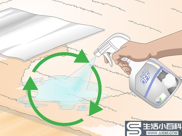 如何清除猫尿产生的污渍（包含图片）