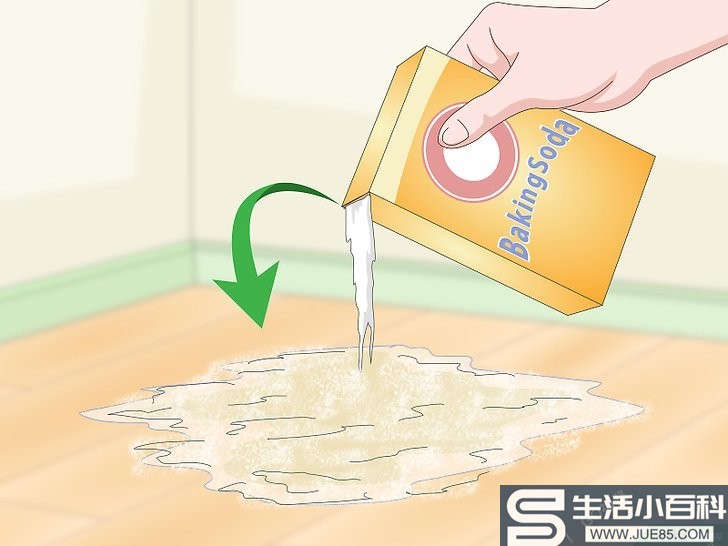 如何清除猫尿产生的污渍（包含图片）