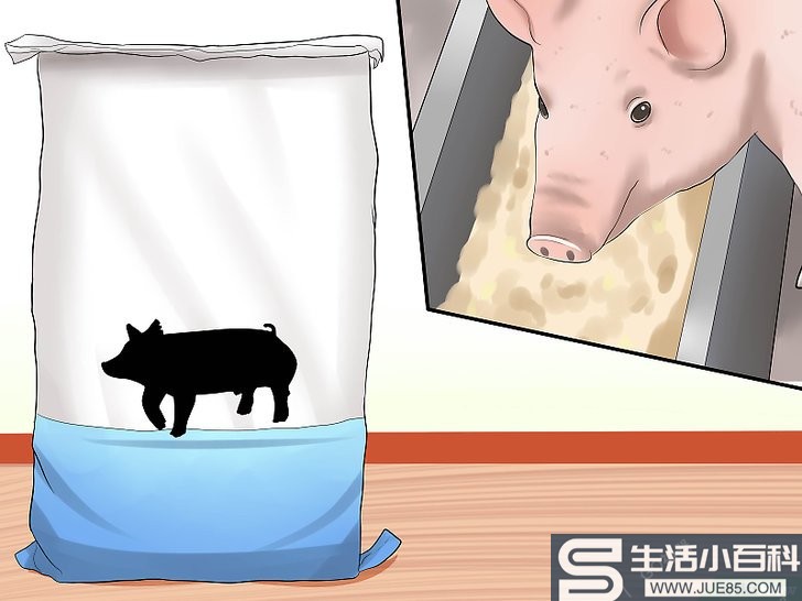 3种方法来给猪增重