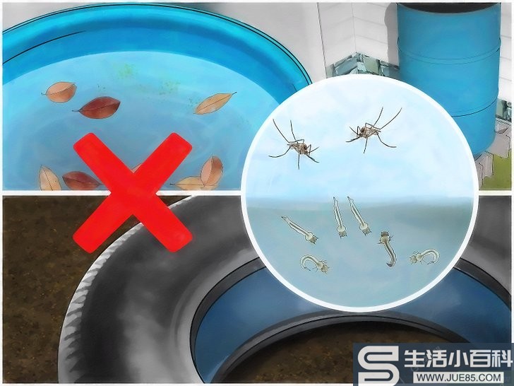 如何避免蚊子繁殖: 15 步骤