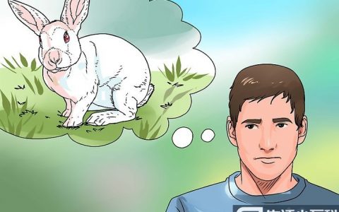 如何照料养在室外的兔子