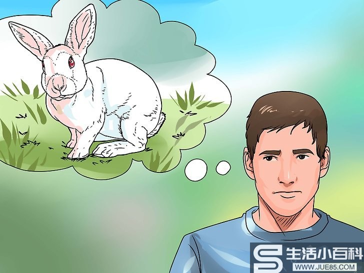 如何照料养在室外的兔子: 10 步骤