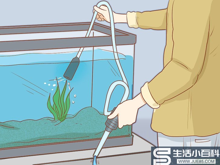 3种方法来把鱼放进新的水箱