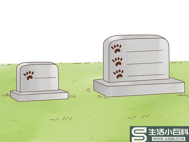 3种方法来埋葬宠物