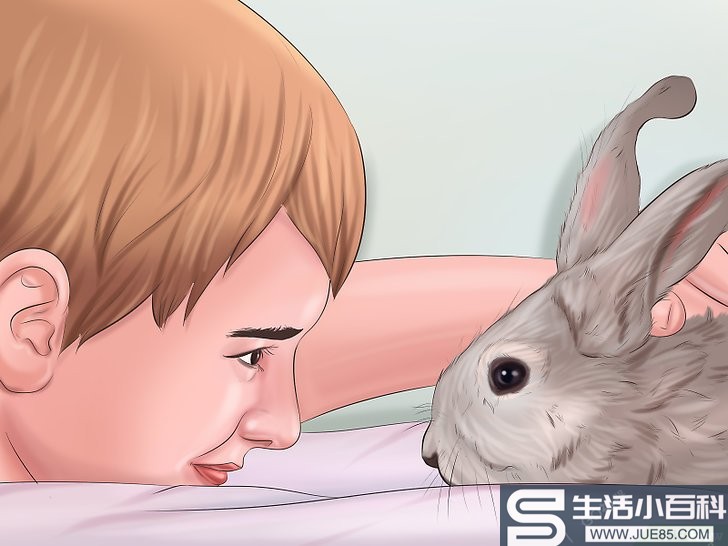 如何和兔子建立友好关系: 14 步骤