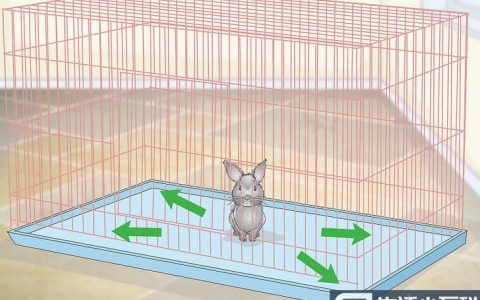 如何选择合适的兔笼