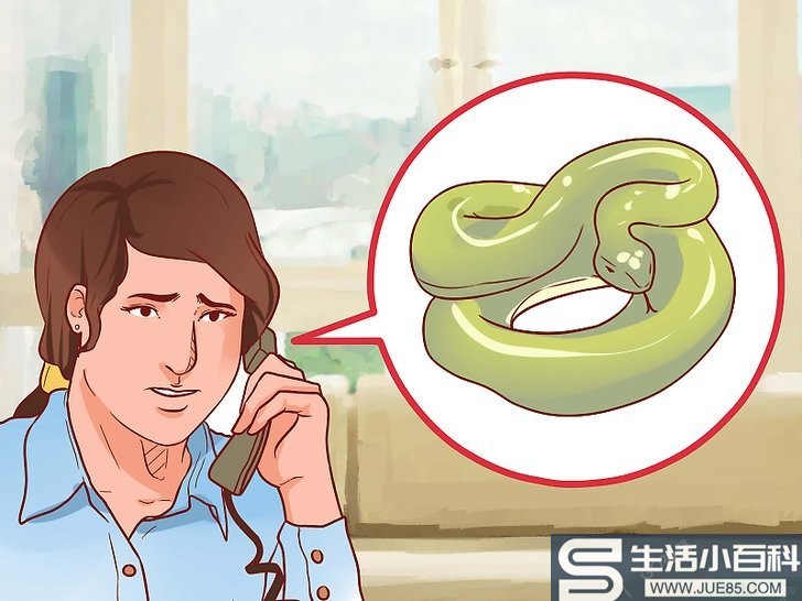 3种方法来处理毒蛇咬伤