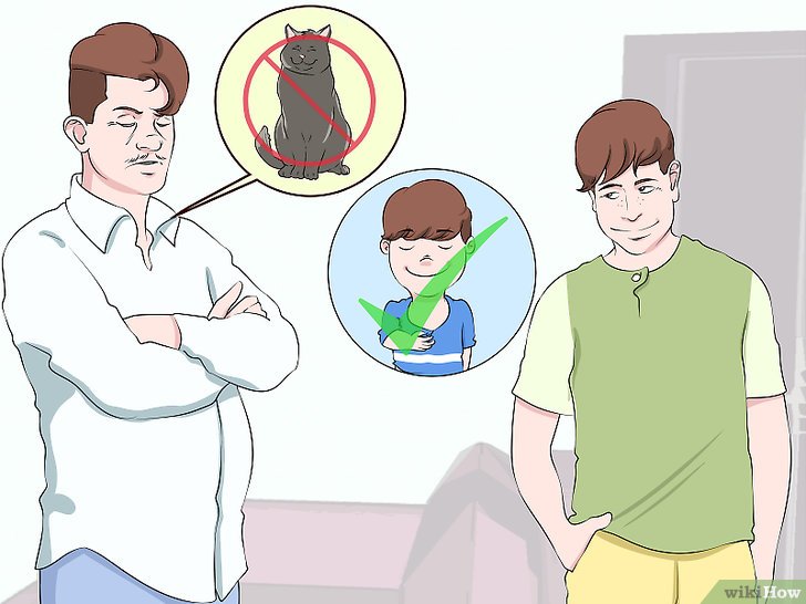 如何说服父母让你养猫（适合青少年）