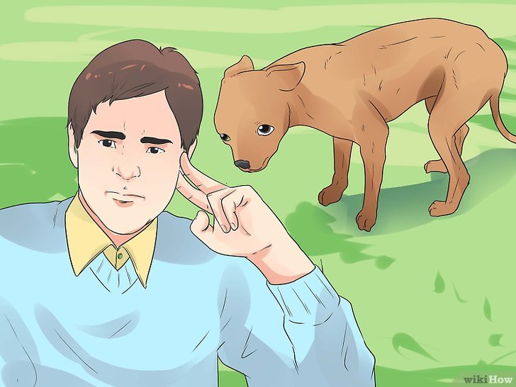 3种方法来应对邻居家狂吠的狗