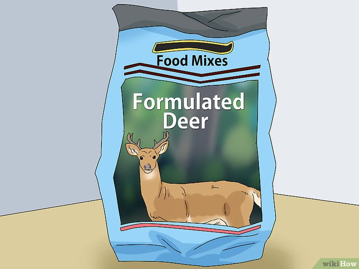 4种方法来喂养鹿