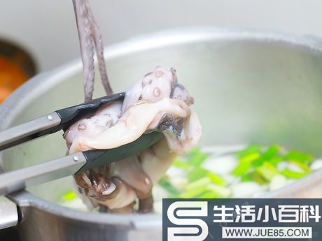 4种方法来烹制章鱼