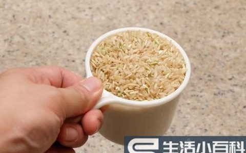 如何用电饭煲煮糙米: 11 步骤
