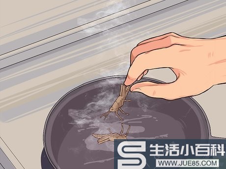 如何烹调蚱蜢: 10 步骤