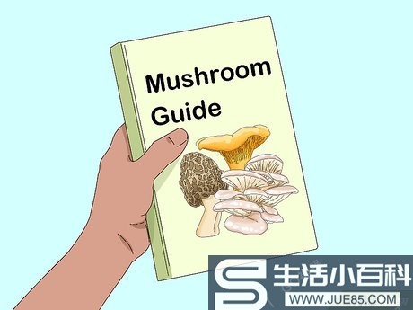 如何判断蘑菇是否能食用（包含图片）