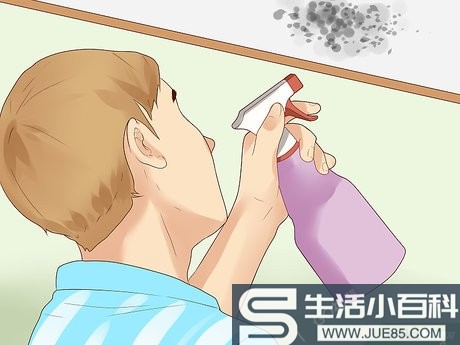 如何清除天花板上的霉菌（包含图片）