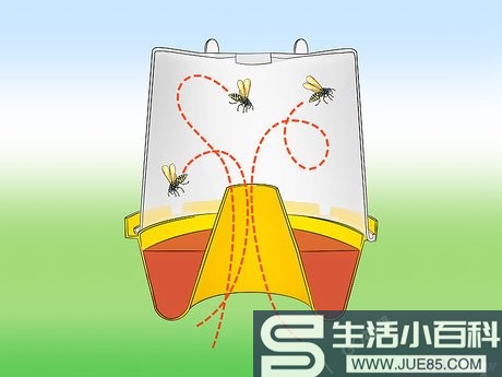 如何防范黄蜂: 14 步骤