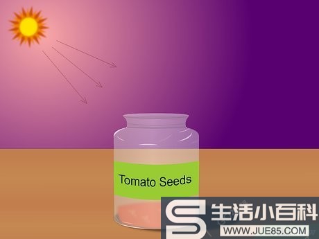 5种方法来从种子开始种西红柿