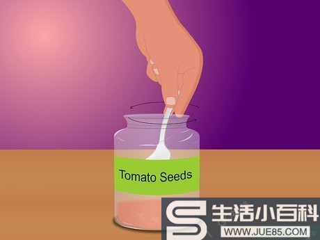 5种方法来从种子开始种西红柿