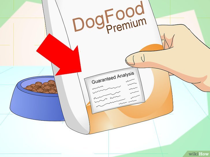 如何增加爱犬饮食中的纤维含量