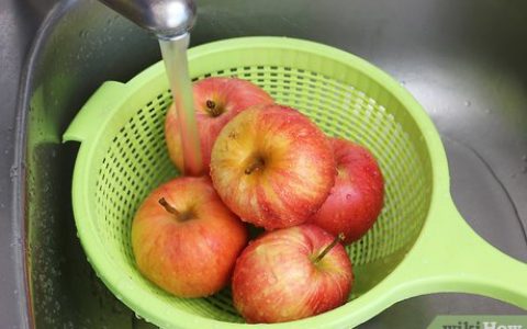 如何做苹果西打或苹果汁: 9 步骤